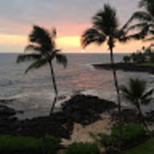 Meet your Posher, Samuel